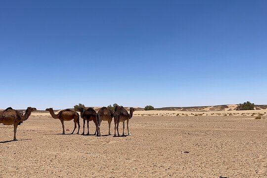 Tour image 9