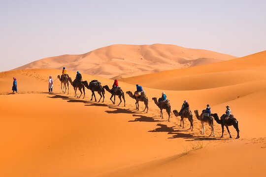 Tour image 1